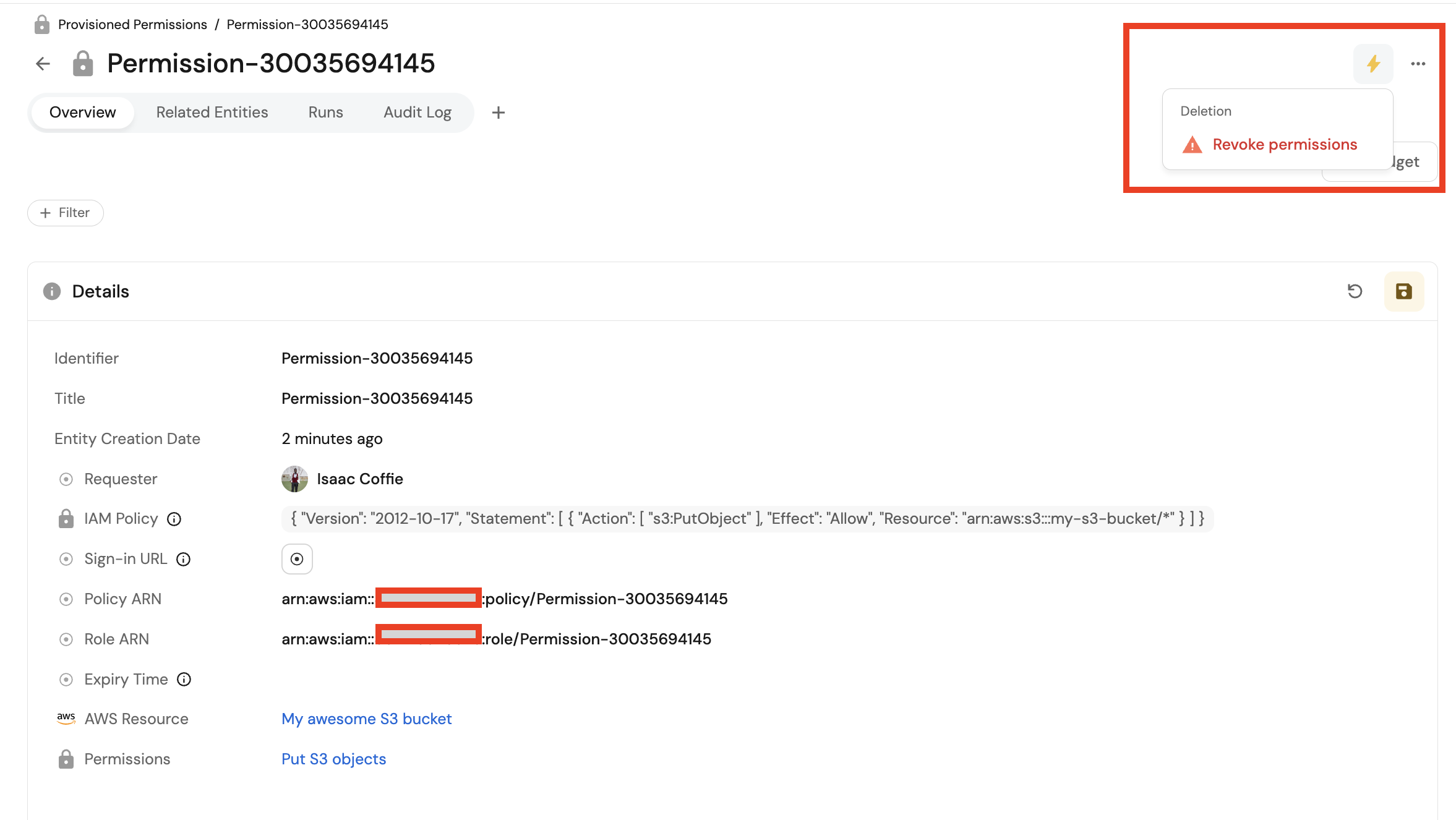 Provisioned permission entity with revoke option